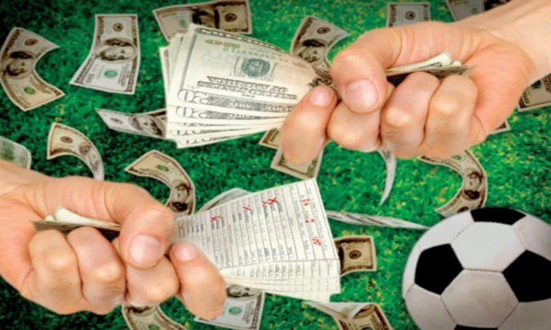 tại sao c&aacute; độ b&oacute;ng đ&aacute; lu&ocirc;n thua